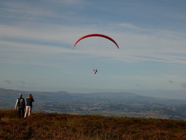 Highly commended yvonne gulley high on wye High Flyer
