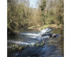 Walk 4: The Arrow Valley