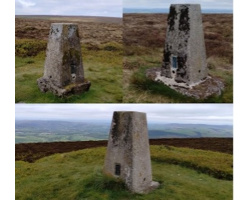 trig