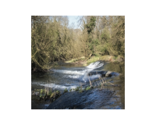 Walk 4: The Arrow Valley