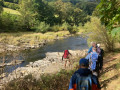 dean taylor image0