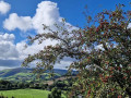 peter chard berry nice view